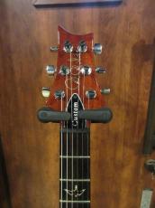 Paul Reed Smith [PRS] Experience 2010 Special Stock Custom 24 Matteo Mist_7