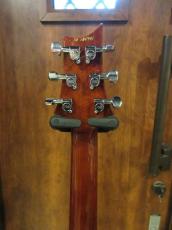Paul Reed Smith [PRS] Experience 2010 Special Stock Custom 24 Matteo Mist_8