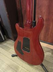 Paul Reed Smith [PRS] Experience 2010 Special Stock Custom 24 Matteo Mist_10