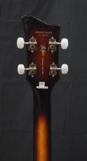 Hofner Violin Bass Ignition Premium Edition SB_10