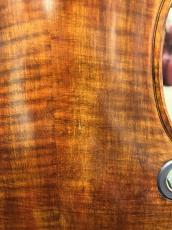 David Gage 【中古エレキバイオリン】 RV4PeFAW Antique Finish 【池袋店】_7
