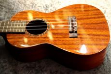 ILIKAI 【チューナー・弦プレゼント!!】 IL-CON-4KGG 個体番号1【コア単板】【コンサート】【池袋店在庫品】_5