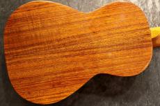 ILIKAI 【チューナー・弦プレゼント!!】 IL-CON-4KGG 個体番号1【コア単板】【コンサート】【池袋店在庫品】_11