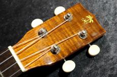 ILIKAI 【チューナー・弦プレゼント!!】 IL-CON-4KGG 個体番号6【虎杢ヘッド】【コンサート】【池袋店在庫品】_8