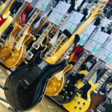 Paul Reed Smith [PRS] CE24 MAPLE_6