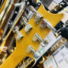 Paul Reed Smith [PRS] CE24 MAPLE_7