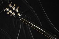 Epiphone Les Paul Tribute Plus Outfit_5