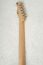 FREEDOM CUSTOM GUITAR RESEARCH Custom Order TE w/Turtoise Shell -White Blonde- 【軽量アッシュボディ】_10