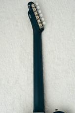FREEDOM CUSTOM GUITAR RESEARCH Green Pepper -Blue-_10