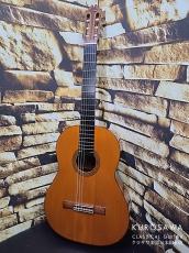 Hernandez y Aguado エルナンデス・イ・アグアド 1973年製 松・ローズウッド【日本総本店2F 在庫品】_4