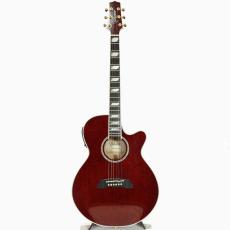 Takamine CTM TSP178AC *2022_2