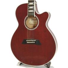 Takamine CTM TSP178AC *2022_3