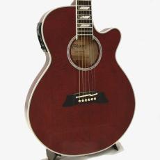Takamine CTM TSP178AC *2022_4