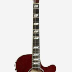 Takamine CTM TSP178AC *2022_6