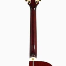 Takamine CTM TSP178AC *2022_9