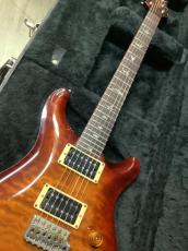Paul Reed Smith [PRS]  2004 Custom 24 ポールリードスミス　カスタム24 _7