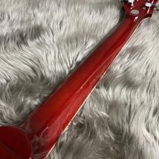 Bacchus DUKE-STD A-RED【現物画像】【最大36回分割無金利 実施中】_10