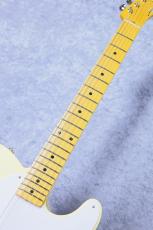 KING SNAKE Sidewinder ~White Blonde~ #0184 [約3.26Kg][次回より¥220,000に値上がり]_6