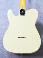 KING SNAKE Sidewinder ~White Blonde~ #0184 [約3.26Kg][次回より¥220,000に値上がり]_9