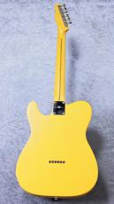 KING SNAKE Sidewinder ~Butterscotch Blonde~ #0176 [約3.56Kg][次回より¥220,000に値上がり]_7