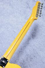 KING SNAKE Sidewinder ~Butterscotch Blonde~ #0176 [約3.56Kg][次回より¥220,000に値上がり]_9