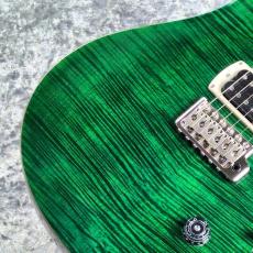 Paul Reed Smith [PRS] SE Custom 24 ~Emerald Green~ #CTI H022010 [3.32kg][2025年製]_3