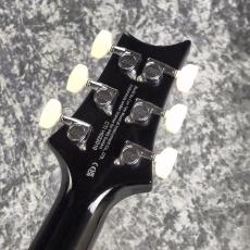 Paul Reed Smith [PRS] SE Custom 24 ~Emerald Green~ #CTI H022010 [3.32kg][2025年製]_9