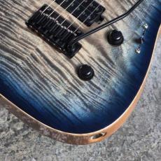 Addictone Custom Guitars ARENA HSH ~Whale Burst~ [3.54kg][美品USED]_4