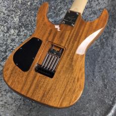 Addictone Custom Guitars ARENA HSH ~Whale Burst~ [3.54kg][美品USED]_7