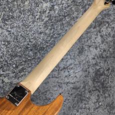 Addictone Custom Guitars ARENA HSH ~Whale Burst~ [3.54kg][美品USED]_8