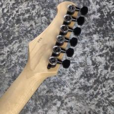 Addictone Custom Guitars ARENA HSH ~Whale Burst~ [3.54kg][美品USED]_9