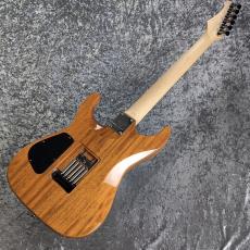 Addictone Custom Guitars ARENA HSH ~Whale Burst~ [3.54kg][美品USED]_11