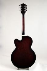 Gretsch 6119-62 Tennessee Rose 1996_5