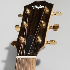 Taylor EG-224ce Urban Ash エレアコギター/島村楽器オリジナルモデル_4