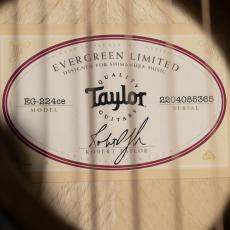 Taylor EG-224ce Urban Ash エレアコギター/島村楽器オリジナルモデル_9