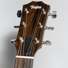 Taylor EG-214ce Urban Ash エレアコギター/島村楽器オリジナルモデル_4