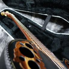 Ovation 1581-5_5
