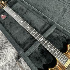 ALEMBIC CMSB_3