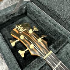 ALEMBIC CMSB_4