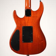 Don Grosh Custom Carve Top -Natural- [4.07kg]_3