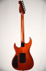Don Grosh Custom Carve Top -Natural- [4.07kg]_4