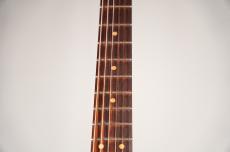 Sadowsky S-Style -Gold- [3.46kg]_8