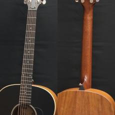 Taylor AD17 Blacktop_7