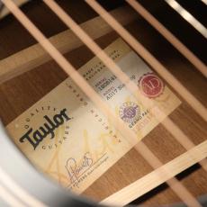 Taylor AD17 Blacktop_8