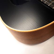 Taylor AD17 Blacktop_10