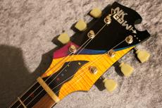 Nakagawa Guitars Holy Ghost Bird 【当社初入荷】【国産ハイエンド】【芸術の極み】【重量 4.05kg】【Made in 鈴鹿】_8