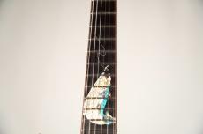 Sugi DS-Summer / IWANA [3.65kg]_7