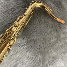 YANAGISAWA T-WO1【USED】_6