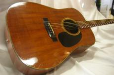 Takamine PT-006