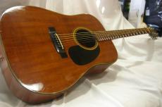 Takamine PT-006_2